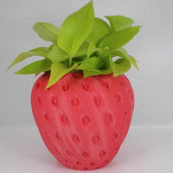 Strawberry Planter pot